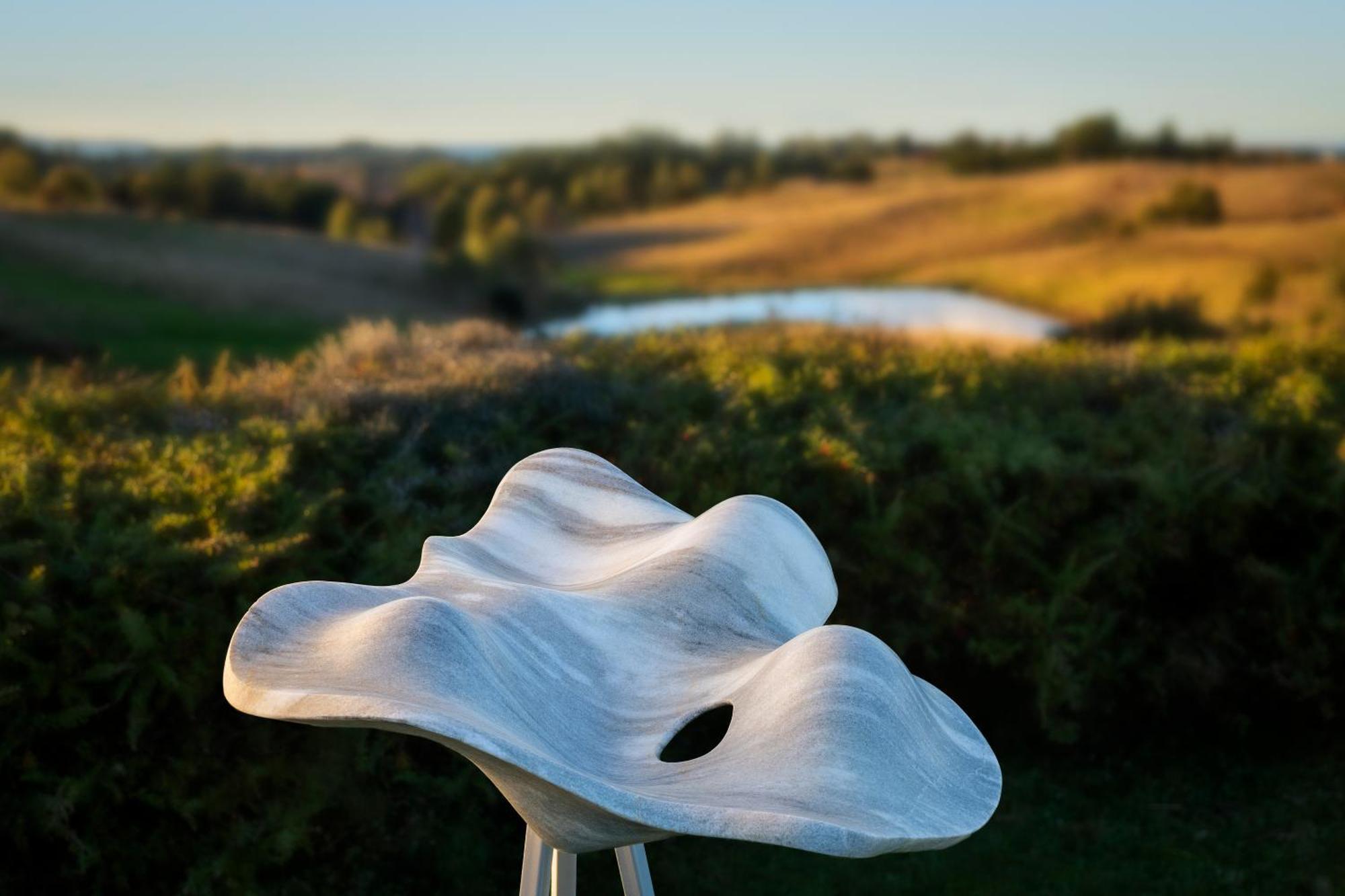 Sculpture Garden Getaway Bed & Breakfast Tasman Bagian luar foto